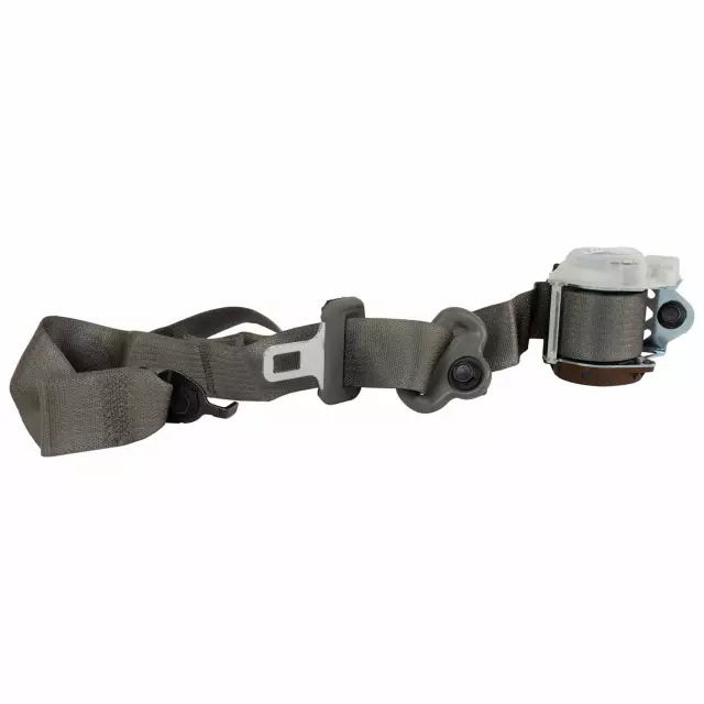 FL3Z16611B68AA - : Outer Belt for Ford: F-150, F-250 Super Duty, F-350 Super Duty, F-450 Super Duty Image