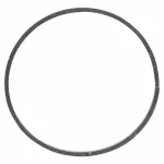 HL3Z7G090A - : Seal for Ford Image