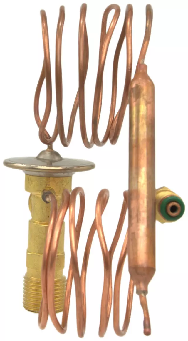Valve - GM (19189767)