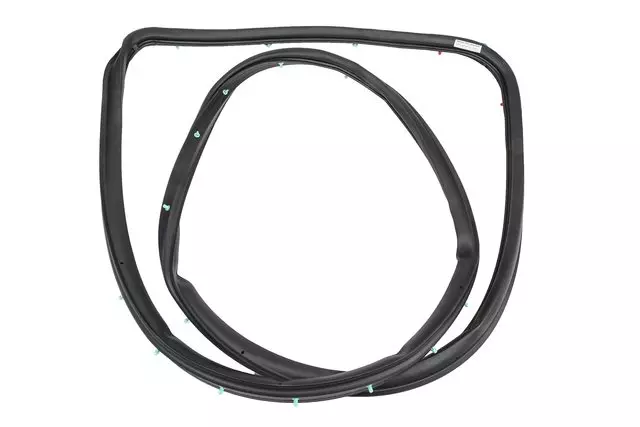 Surround Weather-Strip - GM (15290819)