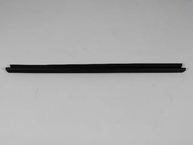 55276896AF - Doors, Door Mirrors and Related Parts: Door Belt Weatherstrip for Mopar Image image