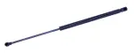 612535 - : Liftgate Lift Support for Tuff Support Image