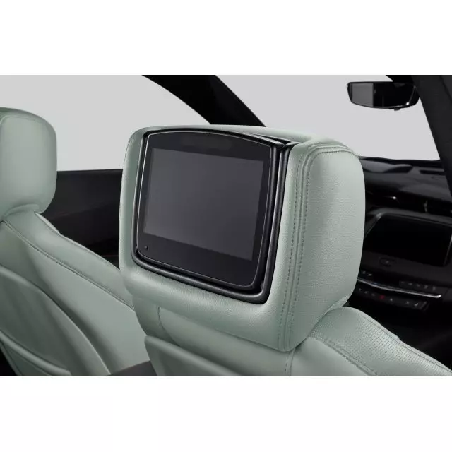 Headrest and Video Screen Assembly - GM (84339929)