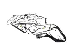 68647759AF - Electrical: Body Wiring for Mopar Image