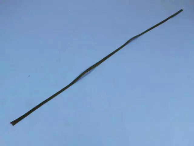 4860673AI - Exterior Ornamentation: Roof Molding, Left for Mopar Image