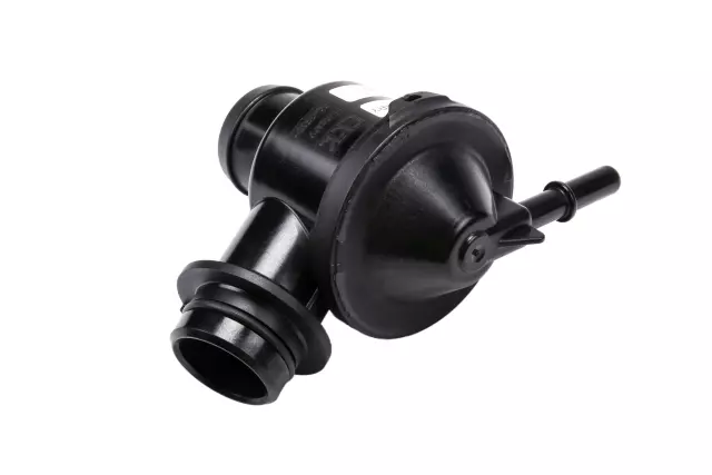 Valve - GM (12663590)