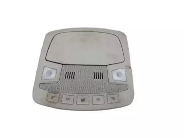 Console Assembly Overhead - Ford (DS7Z-54519A70-EC)