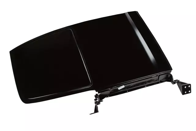 Rear Driver Side Door with Hinges - GM (12549265)