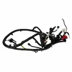 WC96743 - Electrical: Motorcraftâ„¢ Battery Cable for Lincoln: MKX Image