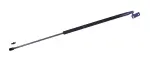 610113 - : Liftgate Lift Support for Tuff Support Image