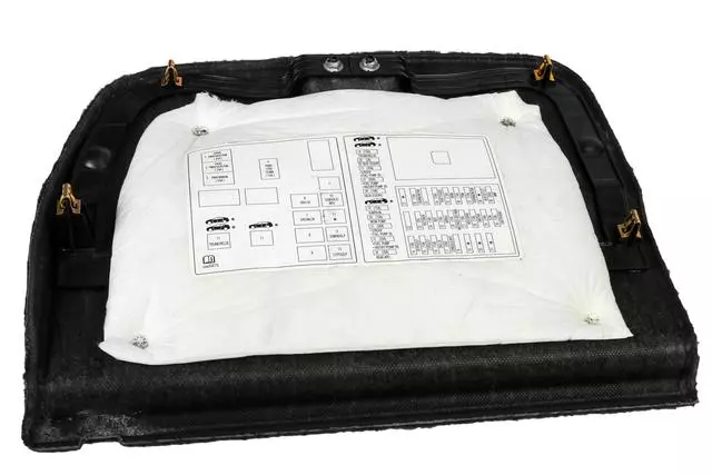 22830222 - Body: Compartment Door for Cadillac: CTS Image