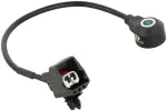 AS10370 - Emission Control: Ignition Knock (Detonation) Sensor for DELPHI Image