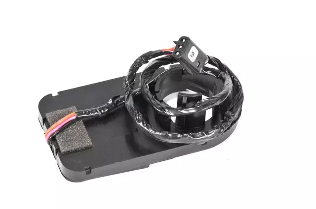 Theft Deterrent Module - GM (15851512)