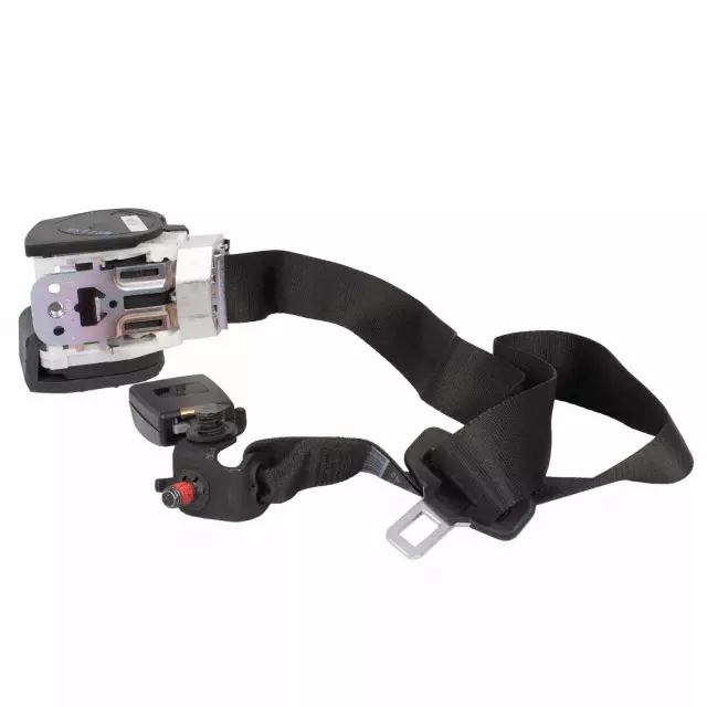 Center Belt Assembly - Ford (CK4Z-14611B66-AC)