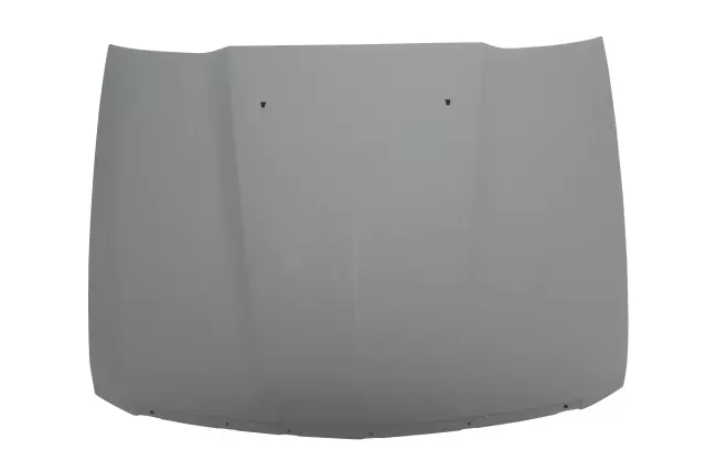 89025819 - Body: Hood for Cadillac: STS Image