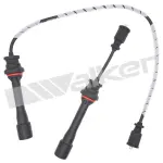 9241781 - : ThunderCore PRO 924-1781 Spark Plug Wire Set for Walker Products Inc. - Image