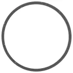 LP5Z7B399B - : Seal for Ford Image