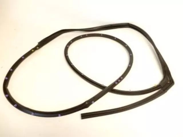 5F9Z7425324AC - Body: Door Weather-strip for Ford: Freestyle, Taurus X Image