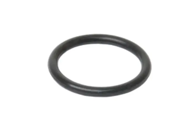 11531710048 - : URO Parts Engine Water Pump Housing O-Ring for URO Image