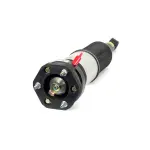 AS3073 - : Arnott Air Suspension Strut for Arnott Image