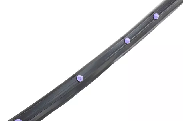 Rear Driver Side Door Weatherstrip - GM (42440844)