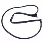 6E5Z5420530AA - Body: Door Weather-strip for Ford: Fusion | Lincoln: MKZ, Zephyr | Mercury: Milan Image