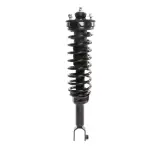 810110 - : PRT 810110 Suspension Strut and Coil Spring Assembly for PRT PERFORMANCE RIDE Image