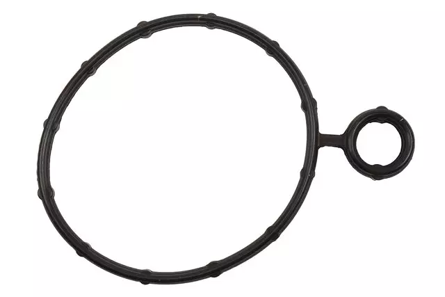 Power Brake Booster Gasket - GM (55597152)