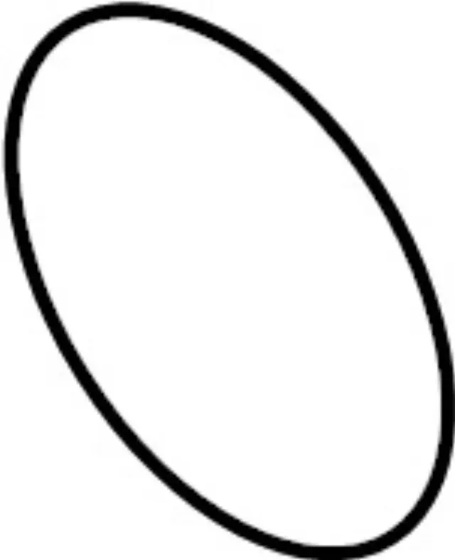 21049JK20A - Cooling System: Water Pump O-Ring for INFINITI: EX35, EX37, FX35, FX37, G35, G37, M35, M35h, M37, Q40, Q50, Q60, Q70, Q70L, QX50, QX70 Image