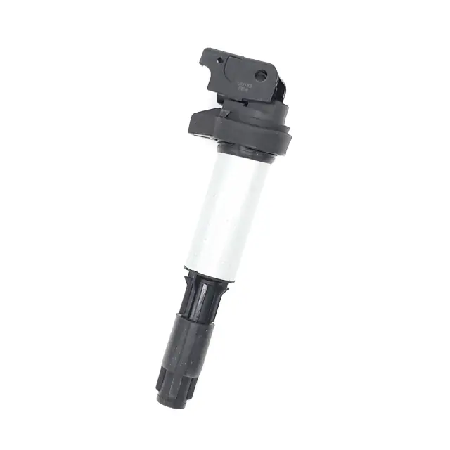 2IGC0102 - Ignition Systems: Ignition Coil for HOLSTEIN Image