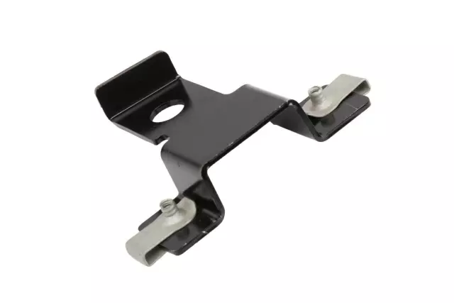 Driver Side License Plate Bracket - GM (84389600)