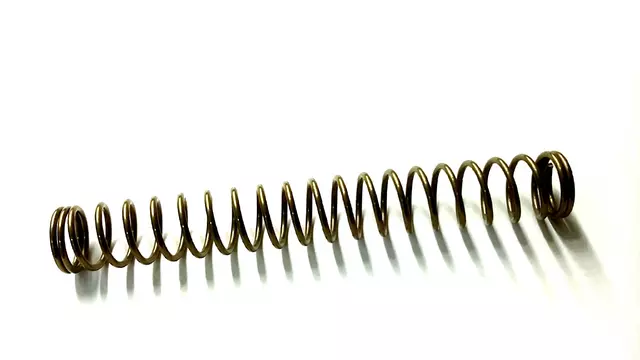 42047AG000 - : Spring Modul for Subaru Image