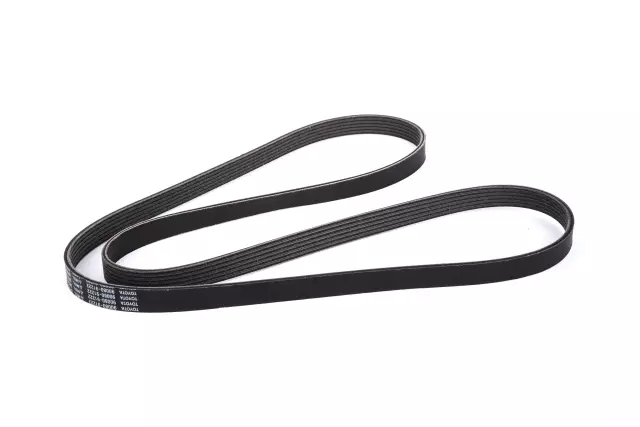 88971576 - : V-Ribbed Serpentine Belt for GM Image