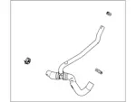AR3Z8286B - Cooling System: Lower Hose for Ford: Mustang Image
