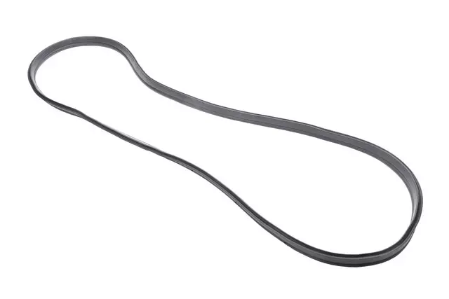 42343901 - : Liftgate Weatherstrip for GM Image