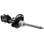 ASH8666341 - : Motorcraft™ Suspension Strut for Ford Image