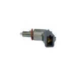 650075 - : Door Jamb Switch for ROSTRA Image