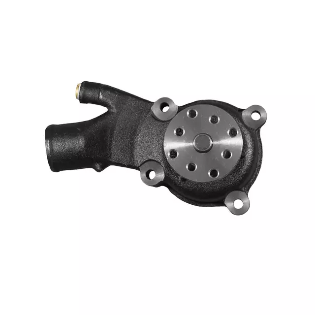 Pump Kit, Wat - GM (12494239)