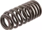 132033RC0C - Engine: Valve Springs for Nissan Image