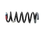 68532767AA - Front Suspension: Front Coil Spring, Right for Jeep: Grand Wagoneer, Wagoneer Image