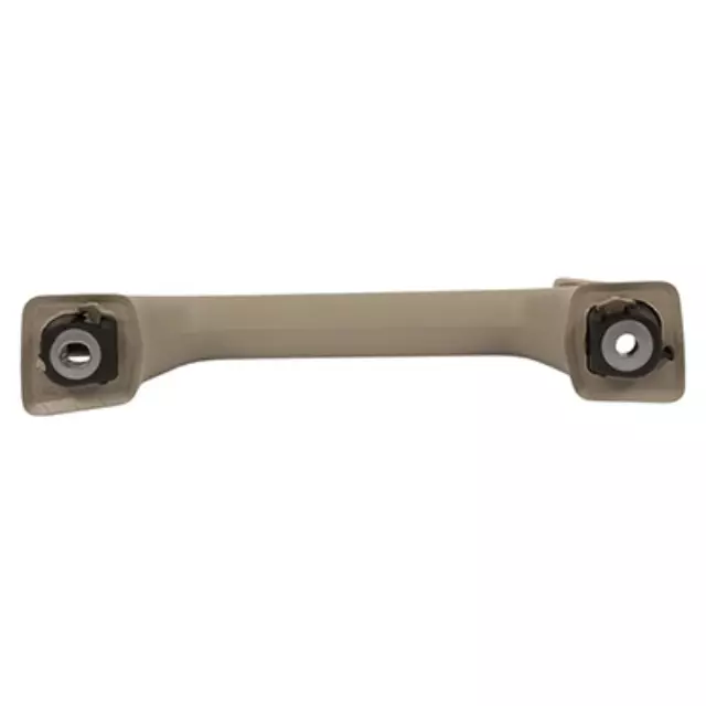 Interior Grab Bar - Ford (FL3Z-1631406-AE)