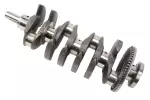 12587041 - : Engine Crankshaft for ACDelco Image