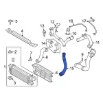 MB3Z6F072A - : Inter-Cooler Hose for Ford: Bronco, Ranger Image