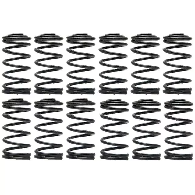 19307979 - Unclassified: Rear Drum Brake Shoe Hold Down Spring for GM Image