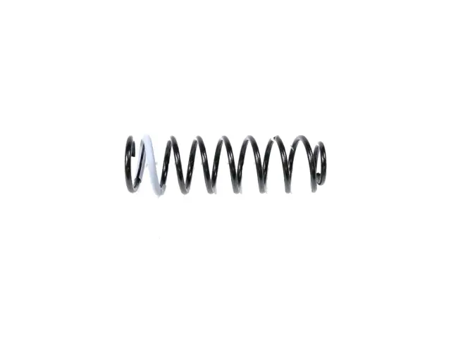 Front Coil Spring - Mopar (68250240AD)