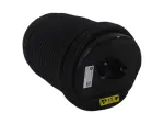 68372516AD - Rear Suspension: Air Suspension Spring, Right for Mopar Image