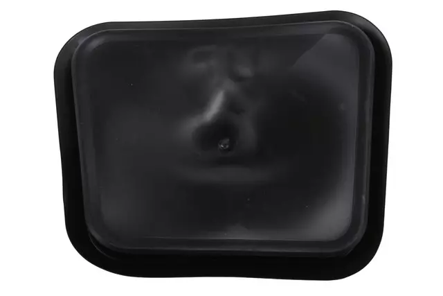 Access Cover - GM (84179446)