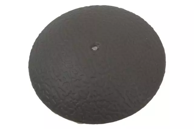 15205963 - : Medium Dark Pewter Front Side Door Trim Bolt Cap for GM Image
