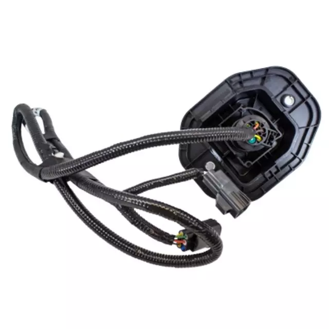 Wiring Assembly - Ford (BC3Z-13A576-A)