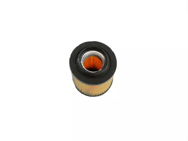 Air Filter - Mopar (4891097AA)